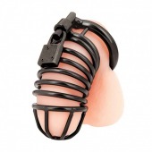 Черная металлическая клетка с замком Deluxe Chastity Cage - BlueLine - купить с доставкой в Петрозаводске