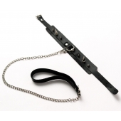 Черный ошейник с шипами и поводком - Crazy Handmade - купить с доставкой в Петрозаводске