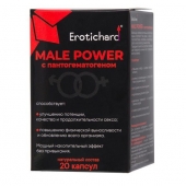 Капсулы для мужчин Erotichard male power с пантогематогеном - 20 капсул (0,370 гр.) - Erotic Hard - купить с доставкой в Петрозаводске