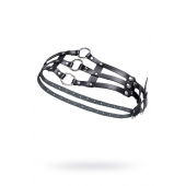 Черный кожаный пояс с кольцами - Pecado - купить с доставкой в Петрозаводске