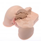 Мастурбатор-полуторс Naked Factory Kate - Naked Factory - в Петрозаводске купить с доставкой