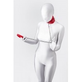 Красный ошейник с подкладкой из меха - ToyFa - купить с доставкой в Петрозаводске