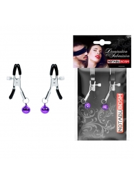 Оригинальные зажимы на соски с фиолетовыми шариками - Notabu - купить с доставкой в Петрозаводске