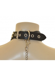 Ошейник  Веселый Роджер - Sitabella - купить с доставкой в Петрозаводске