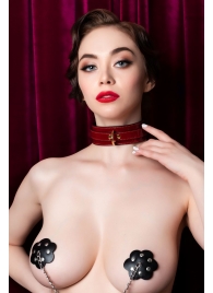 Красный ошейник из лакированного материала - ToyFa - купить с доставкой в Петрозаводске