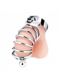 Серебристая клетка для члена Urethral Play Cage - BlueLine - купить с доставкой в Петрозаводске