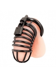 Черная металлическая клетка с замком Deluxe Chastity Cage - BlueLine - купить с доставкой в Петрозаводске