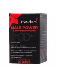 Капсулы для мужчин Erotichard male power с пантогематогеном - 20 капсул (0,370 гр.) - Erotic Hard - купить с доставкой в Петрозаводске