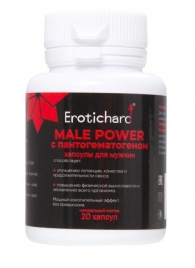 Капсулы для мужчин Erotichard male power с пантогематогеном - 20 капсул (0,370 гр.) - Erotic Hard - купить с доставкой в Петрозаводске