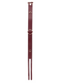 Бордовый ремень Halo Waist Belt - размер L-XL - Shots Media BV - купить с доставкой в Петрозаводске