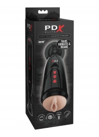 Мастурбатор-вагина с вибрацией Dirty Talk Starter Stroker - Pipedream - в Петрозаводске купить с доставкой