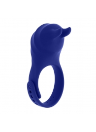 Синее эрекционное виброкольцо с клиторальной подушечкой и пультом ДУ Adjustable Fun Ring - Zero Tolerance - в Петрозаводске купить с доставкой