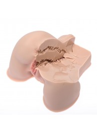 Мастурбатор-полуторс Naked Factory Kate - Naked Factory - в Петрозаводске купить с доставкой