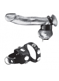 Утяжка для мошонки и пениса Cock Ring With 1  Ball Stretcher And Optional Weight Ring - BlueLine - купить с доставкой в Петрозаводске