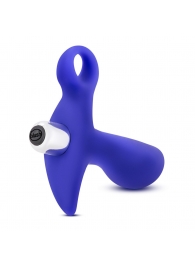 Синий стимулятор простаты с ручкой-кольцом Performance Prostimulator 02 - Blush Novelties - в Петрозаводске купить с доставкой