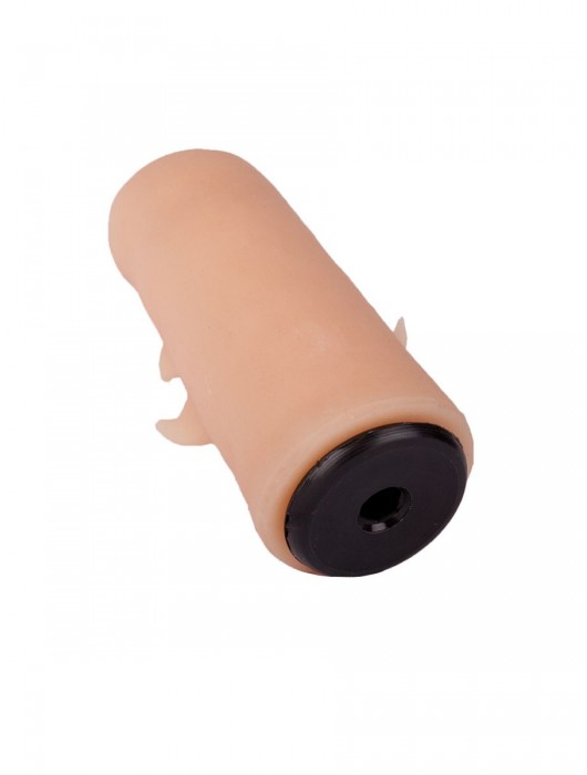 Черный пояс-трусики с двумя насадками  Экзотик-Sara  - 16,5 и 11 см. - LOVETOY (А-Полимер) - купить с доставкой в Петрозаводске