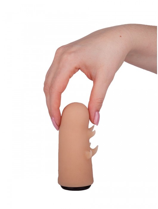 Черный пояс-трусики с двумя насадками  Экзотик-Sara  - 16,5 и 11 см. - LOVETOY (А-Полимер) - купить с доставкой в Петрозаводске