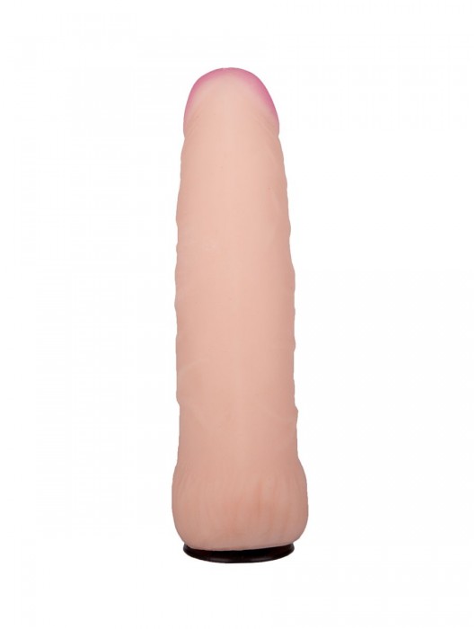 Черный пояс-трусики с двумя насадками  Экзотик-Sara  - 16,5 и 11 см. - LOVETOY (А-Полимер) - купить с доставкой в Петрозаводске