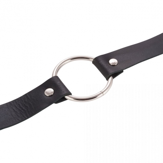 Черный поводок и чокер с кольцом Rada - Rebelts - купить с доставкой в Петрозаводске