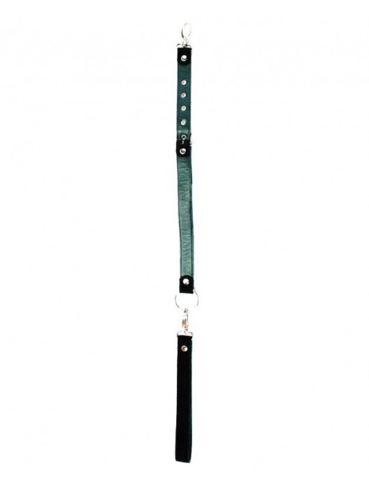 Изумрудный поводок для ошейника Ladys Arsenal - БДСМ Арсенал - купить с доставкой в Петрозаводске