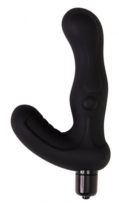 Черный вибромассажер простаты Titan - 15 см. - Le Frivole - в Петрозаводске купить с доставкой