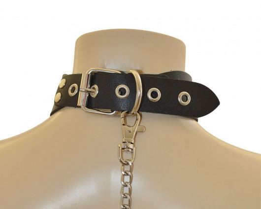 Ошейник  Веселый Роджер - Sitabella - купить с доставкой в Петрозаводске