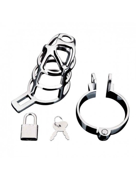 Серебристая металлическая клетка для члена с замком Enslave Cock Cage - BlueLine - купить с доставкой в Петрозаводске