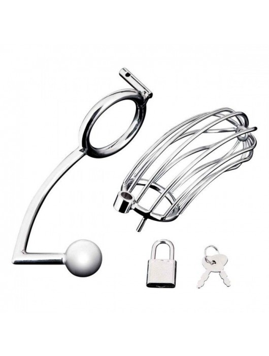 Серебристая металлическая клетка с анальным стимулятором Cock Cage - BlueLine - купить с доставкой в Петрозаводске