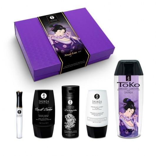 Подарочный набор Naughter Kit - Shunga - купить с доставкой в Петрозаводске
