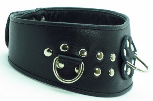 Кожаный ошейник для эротических игр - БДСМ Арсенал - купить с доставкой в Петрозаводске