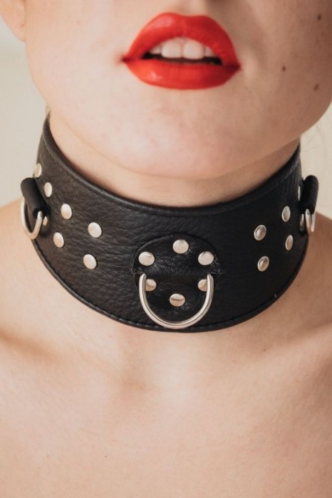 Кожаный ошейник для эротических игр - БДСМ Арсенал - купить с доставкой в Петрозаводске