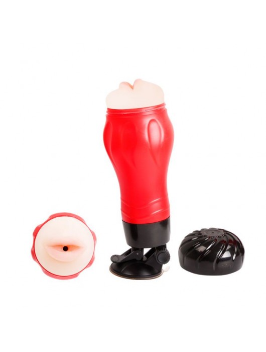 Мега-мастурбатор-ротик Flora - Baile - в Петрозаводске купить с доставкой