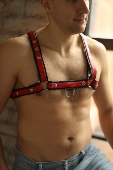 Черно-красная мужская портупея Black-Red - БДСМ Арсенал - купить с доставкой в Петрозаводске