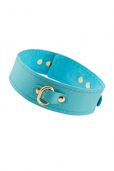 Голубой кожаный однослойный ошейник с прошивкой - Pecado - купить с доставкой в Петрозаводске