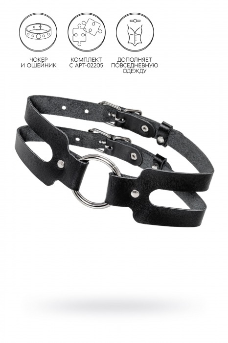 Черный кожаный чокер-ошейник из двух ремешков - Pecado - купить с доставкой в Петрозаводске