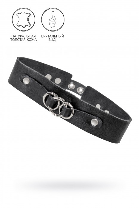 Черный чокер-ошейник со связанными кольцами на подложке - Pecado - купить с доставкой в Петрозаводске