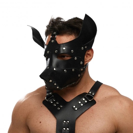 Черная кожаная маска «Собака» - Crazy Handmade - купить с доставкой в Петрозаводске
