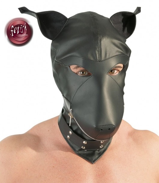 Шлем-маска Dog Mask в виде морды собаки - Orion - купить с доставкой в Петрозаводске