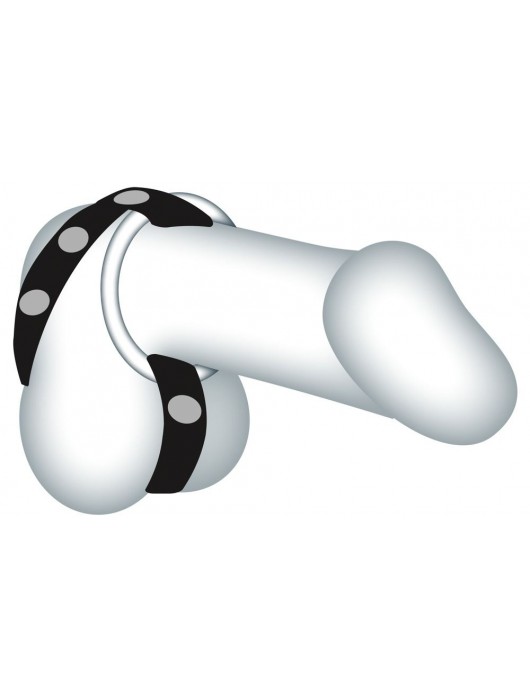 Подхват для мошонки с 3 съемными эрекционными кольцами Leder-Riemen - Orion - в Петрозаводске купить с доставкой