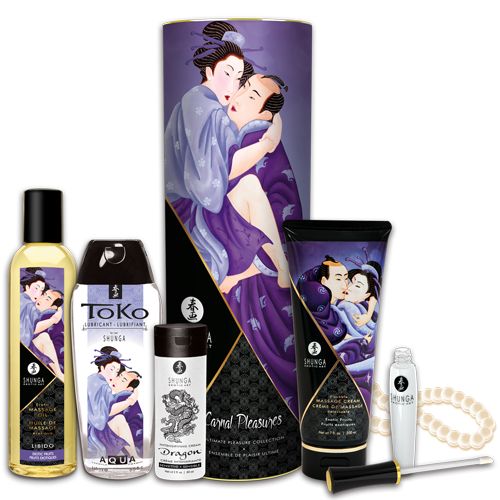 Подарочный набор CARNAL PLEASURES - Shunga - купить с доставкой в Петрозаводске