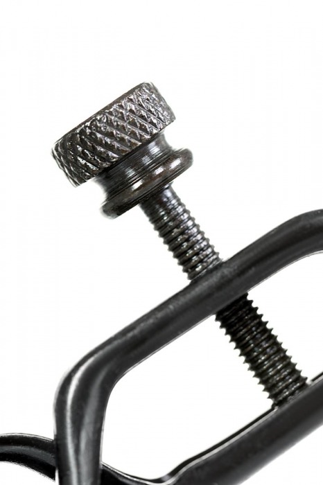 Черно-золотистые зажимы для сосков TOYFA Theatre - ToyFa - купить с доставкой в Петрозаводске