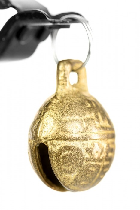 Черно-золотистые зажимы для сосков TOYFA Theatre - ToyFa - купить с доставкой в Петрозаводске