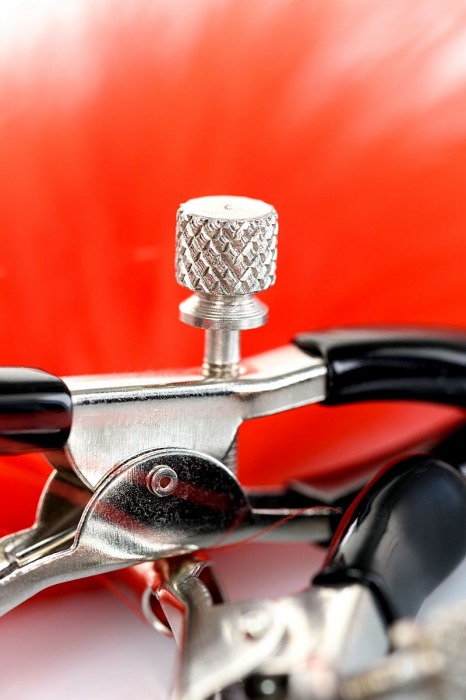 Зажимы для сосков с красным пухом Theatre - ToyFa - купить с доставкой в Петрозаводске