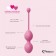 Набор из 3 розовых вагинальных шариков FemmeFit Advanced Pelvic Muscle Training Set - FeelzToys в Петрозаводске Набор из 3 розовых вагинальных шариков FemmeFit Advanced Pelvic Muscle Training Set - FeelzToys